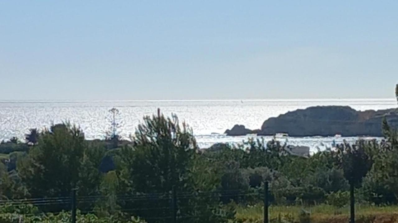 דירות פורטימאו Sea Moments Mar A Vista מראה חיצוני תמונה